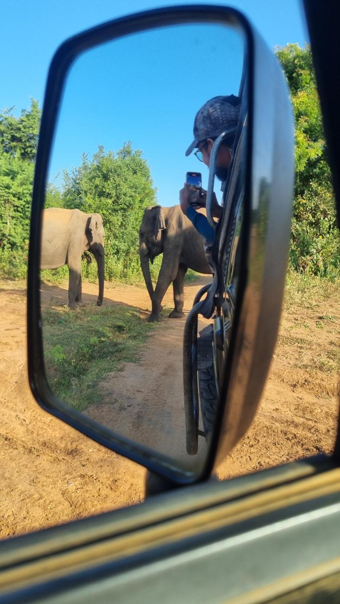 White Rose Safari Home Stay Uda Walawe Extérieur photo